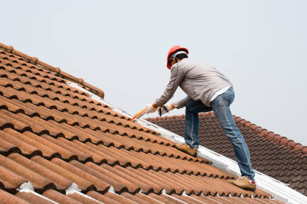 Best Asphalt Shingle Roofing  in Spirit Lake, IA